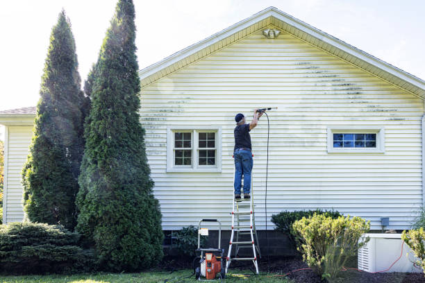 Best Sidewalk Pressure Washing  in St Michaels, MD