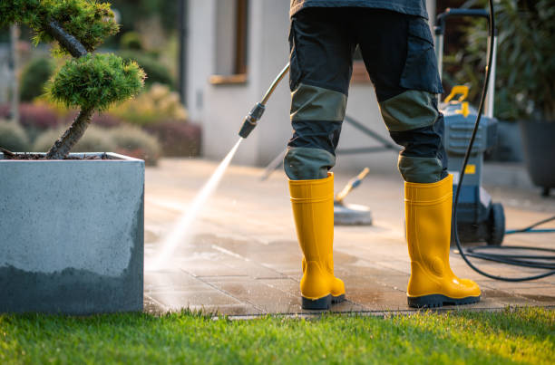 Best Exterior Home Cleaning  in St Michaels, MD